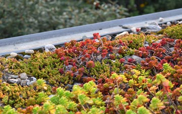 the cost of West Hurn green roof installation