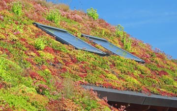 West Hurn living roof systems